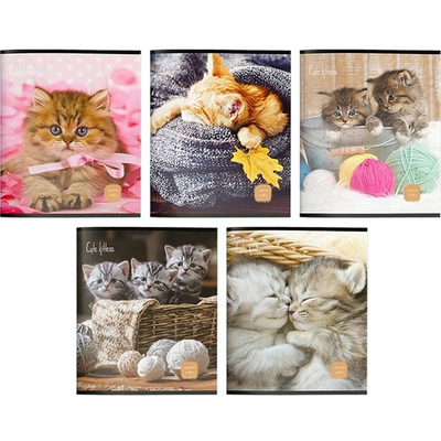 Тетрадь А5 48 л. "Котики" (Creativiki)