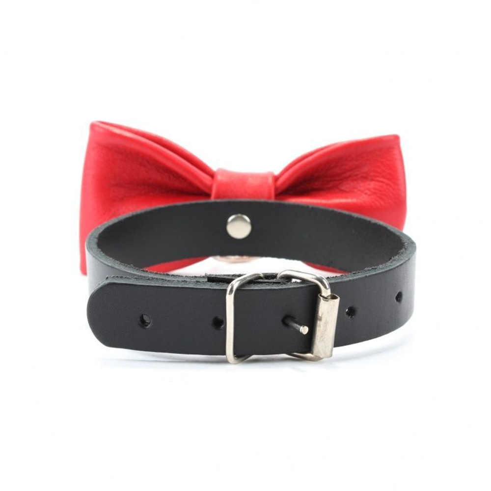 Эффектный красный ошейник-бабочка на черных ремнях (Цвет: красный с черным)