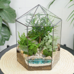 Готовый флорариум бонсай Подокарпус Хижина с озером