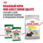 Royal Canin Mini Dermacomfort Корм сухой для взрослых собак мелких размеров 1кг