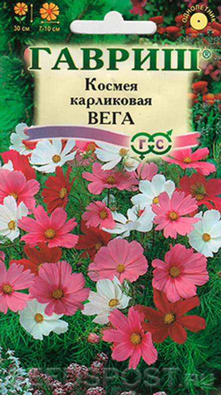 Космея Вега