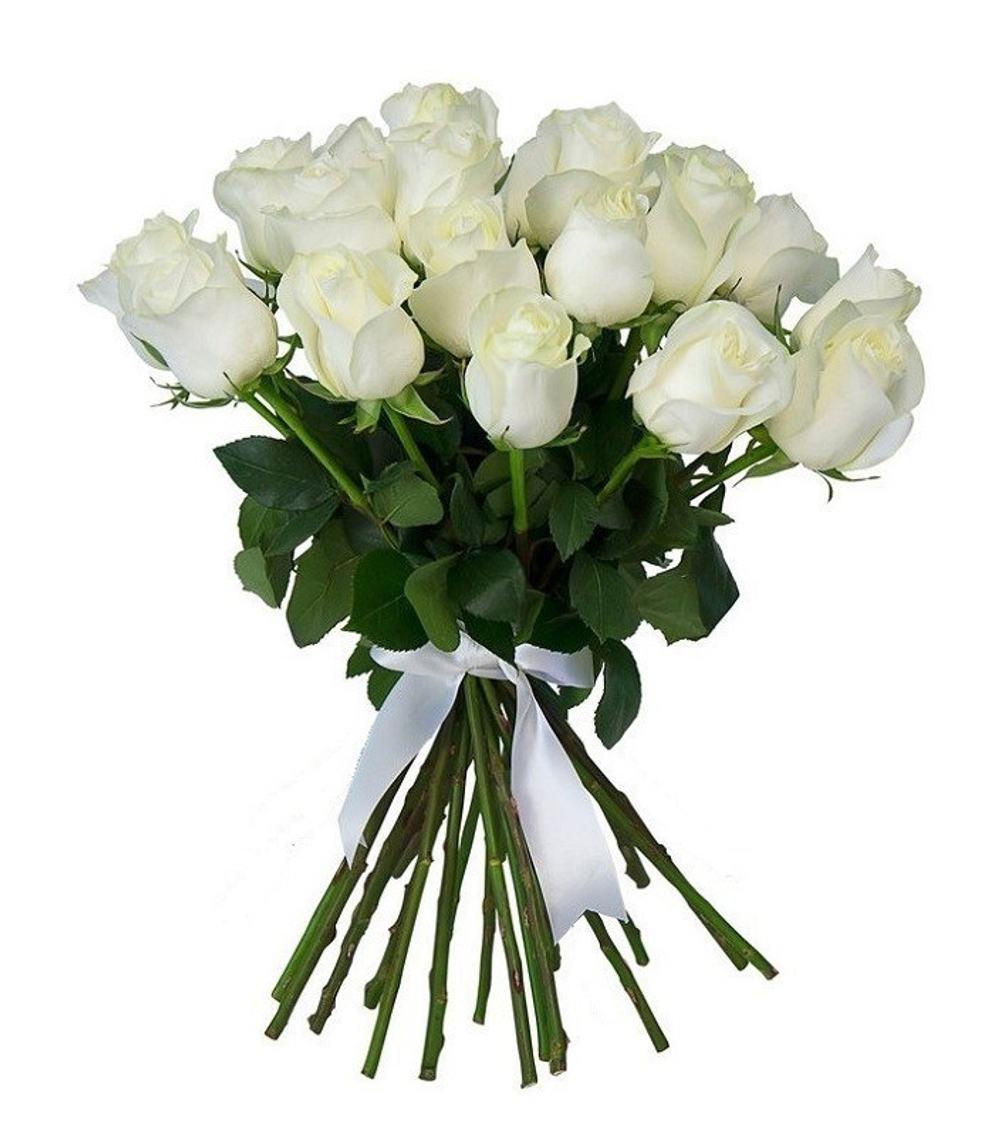 25 белых роз