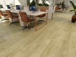 ABA ламинат TULESNA PREMIUM Modesto 1004-301 AlpineFloor