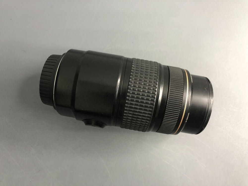Canon EF 75-300mm 4-5.6 IS