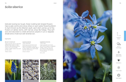 The Flower Thesaurus: Colourful Pairings and Plant Ideas for the Creative Gardener