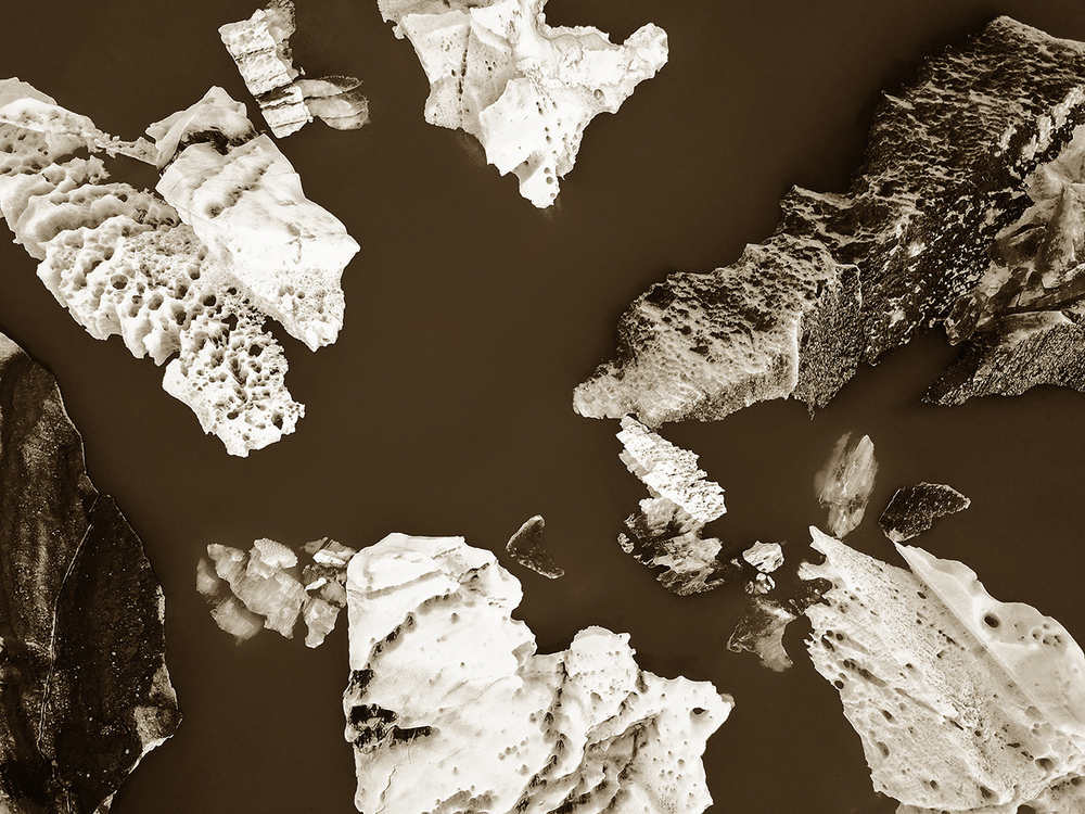 Дизайнерские обои Wall Street Bird see