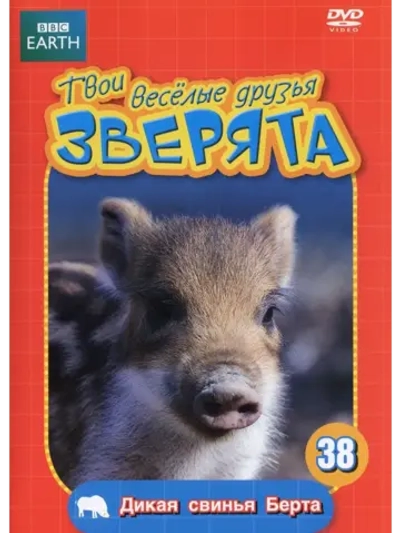 BBC: Твои веселые друзья зверята: Дикая свинья Берта