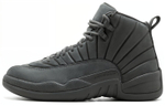 Кроссовки Jordan Air Jordan 12 Retro Psny
