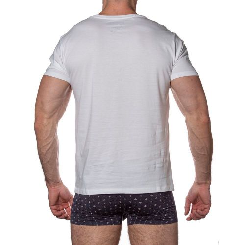 Мужская футболка белая Sergio Dallini SDT750-1