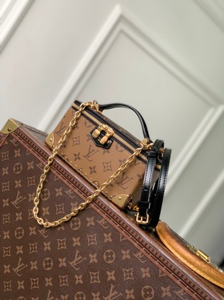 Louis Vuitton Vanity Pouch Trunk