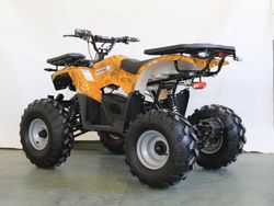 Квадроцикл GreenCamel Атакама T240 (48V 1000W R8 Дифференциал) пониженная