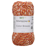 Пряжа Schachenmayr Color Breeze (85)