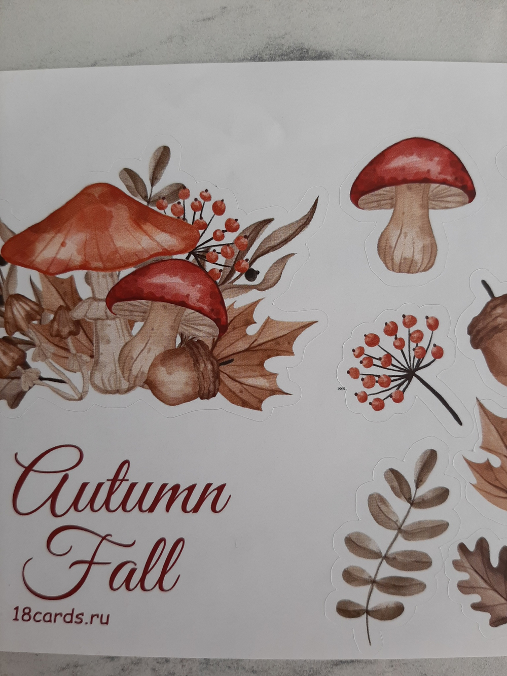 Наклейки фигурные "Autumn fall", 13 шт