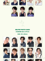 товары NCT - NCT ZONE COUPON CARD GARDENER Version