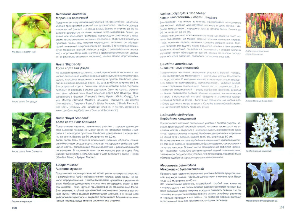 Большая книга цветовода