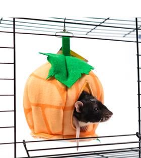 Bambini Pets Домик из фетра "Тыковка" для грызунов и хорьков 18*18*15см.