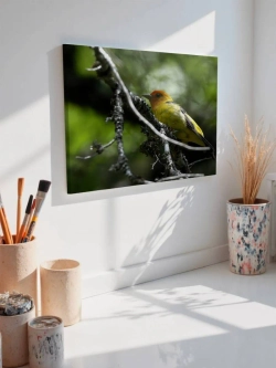 Картина на стену 40 X 50 Желтая птица