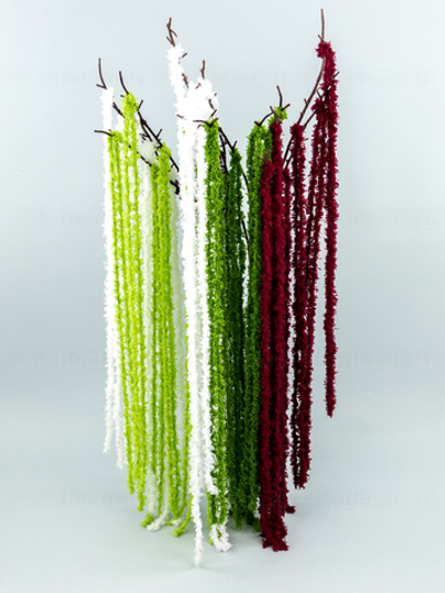 Водоросль ампельная на ветке