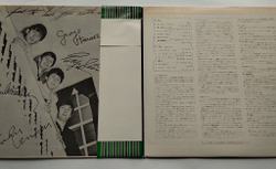 Винтажная виниловая пластинка LP The Beatles Help (Japan 1973) (Obi) You Like Me Too Much