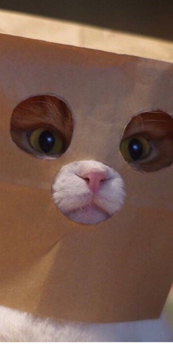 Почему 3D-печать — это ремесло, а не магия ?