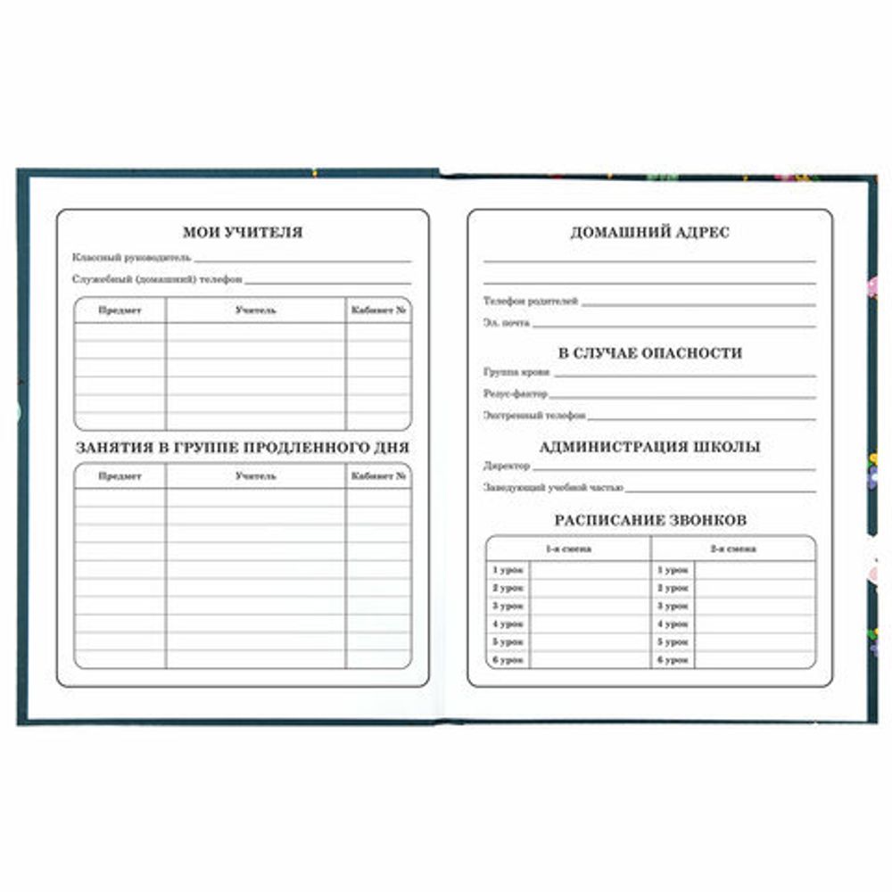 Дневник 1-4 класс 48 л., твердый, ЮНЛАНДИЯ, глянцевая ламинация, с подсказом, "Kittycorn", 106346