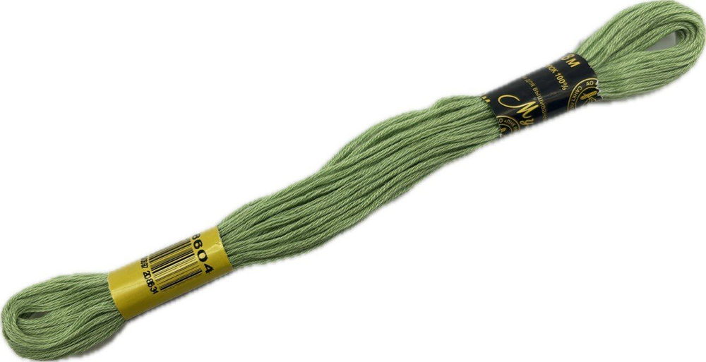 Нитки вышивальные Мулине 10м (8604)