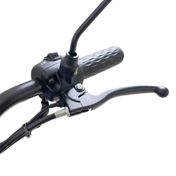 Электроскутер CityCoco TRIKE GT-EV5