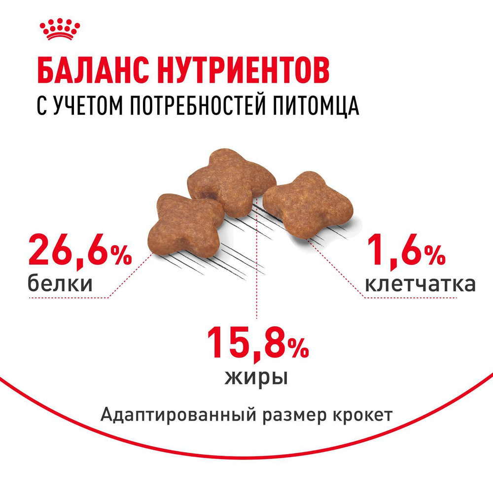 Royal Canin Mini Adult 8+ сухой корм для взрослых собак мелких размеров до 10 кг старше 8 лет 4 кг