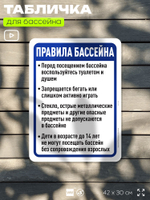 Табличка для бассейна "Правила бассейна", на пляж, для общественной и частной зоны отдыха, информационная, 40х30 см, Silver Plane x Айдентика Технолоджи