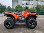Квадроцикл Bashan BS200AU-19 зеленый