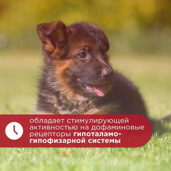 Лакто-Стоп для собак флакон, 15 мл
