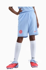 Шорты Nike Erling Haaland Academy Детские - голубой