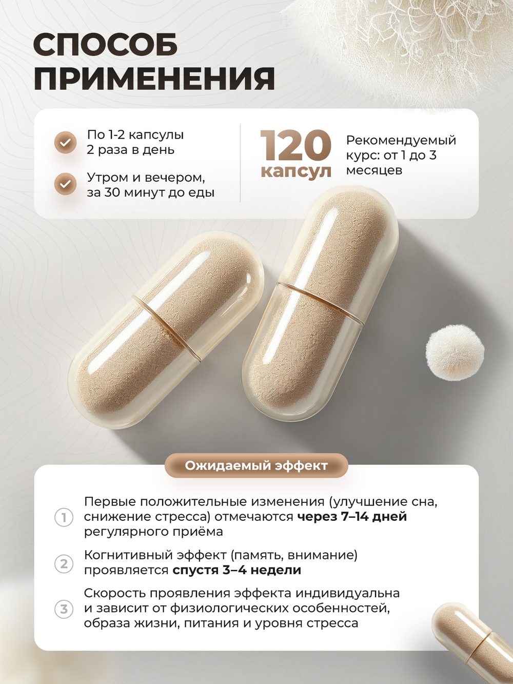 Ежовик гребенчатый мицелий капсулы