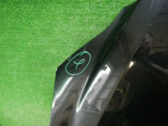 DSCN0805.jpg