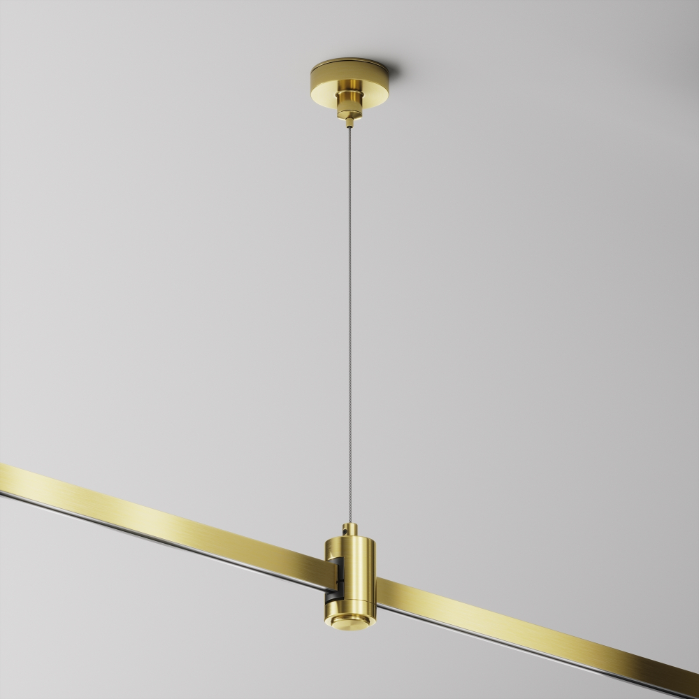 Подвес тросовый Hang одинарный Maytoni FLARITY TRA157SW-S1-BS