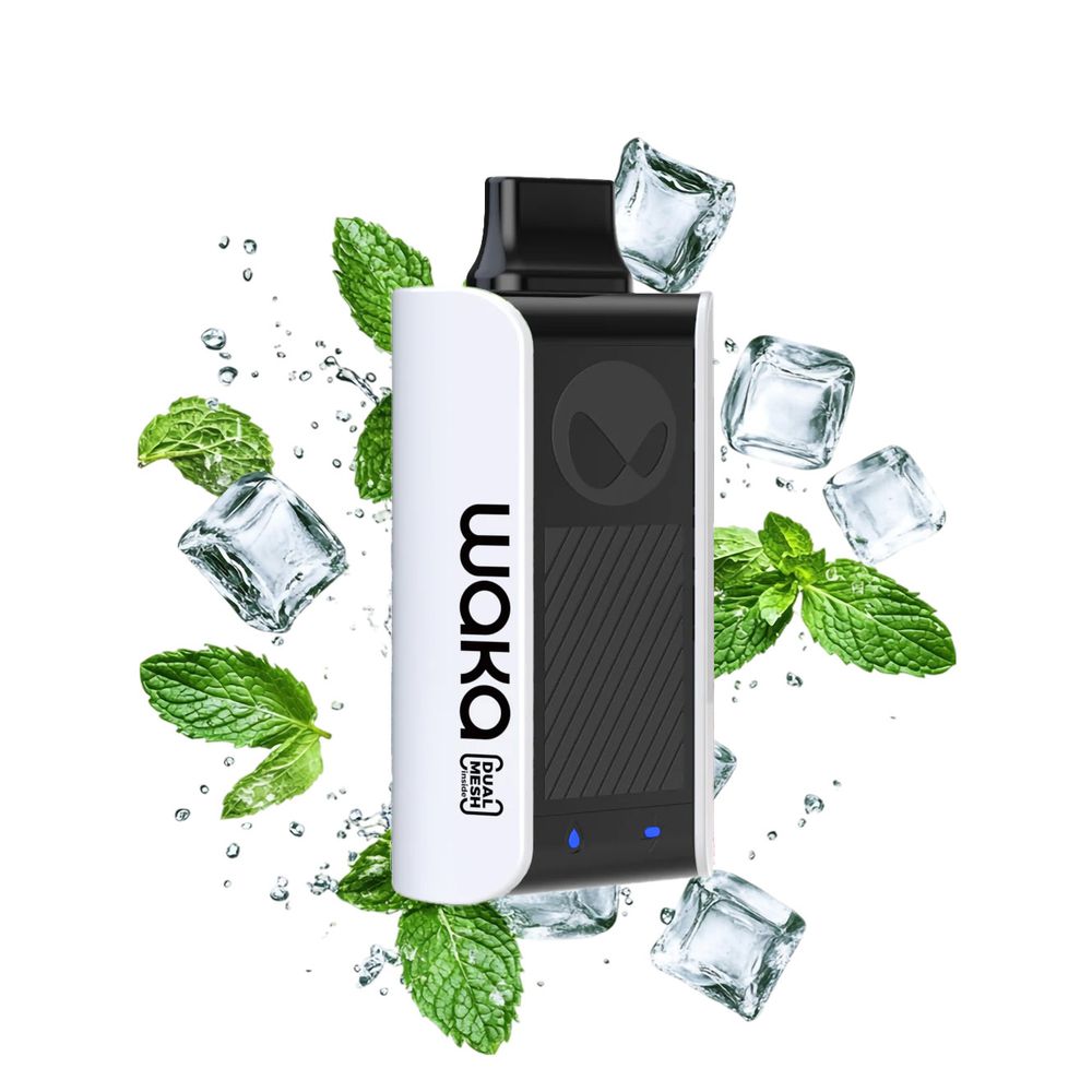 WAKA soPro PA10000 - Fresh Mint (5% nic)