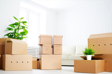 Мы переехали в Зеленоград