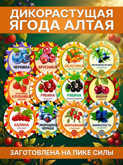 Малина ягода сушеная, 60 г.