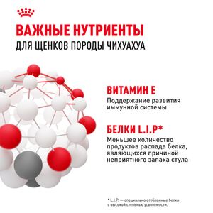 Сухой корм Royal Canin Chihuahua Puppy для щенков породы Чихуахуа до 8 месяцев
