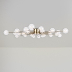 Потолочная люстра Freya Celebrity FR5242CL-24BS1