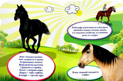 ДОМАШНИЕ ЖИВОТНЫЕ. МИР ЖИВОТНЫХ. Картонные книги