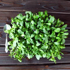 Проростки подсолнечника на корне (лоток) / 100 гр сверху Проростки подсолнечника на корне (лоток) / 100 гр сверху