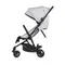 Коляска ANEX AIR-Z (Az-03) mist