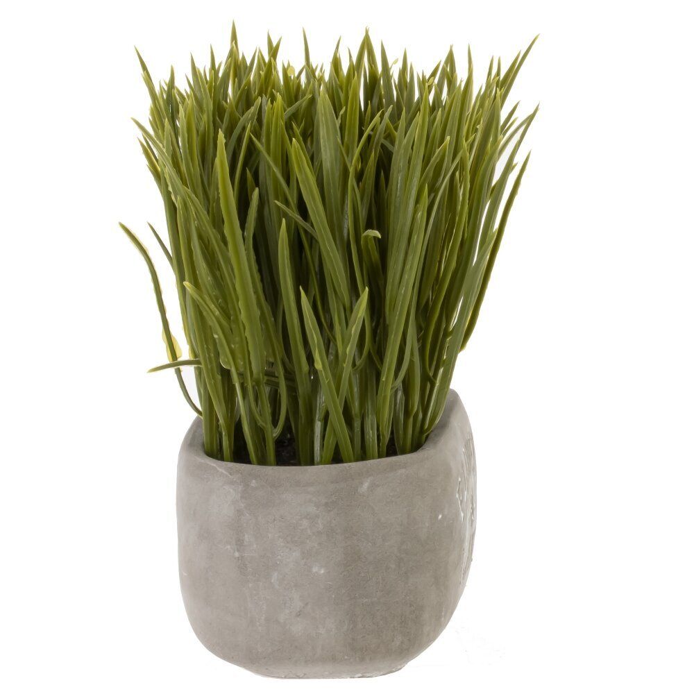 GAEM Цветочная композиция "Осока", L14 W7,5 H16 см