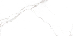 Statuario White PRO Керамогранит белый 60х120 матовый R10GR CB