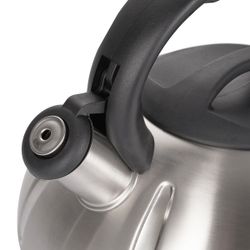 Чайник для плиты Gipfel Cosmo 8520 3 л