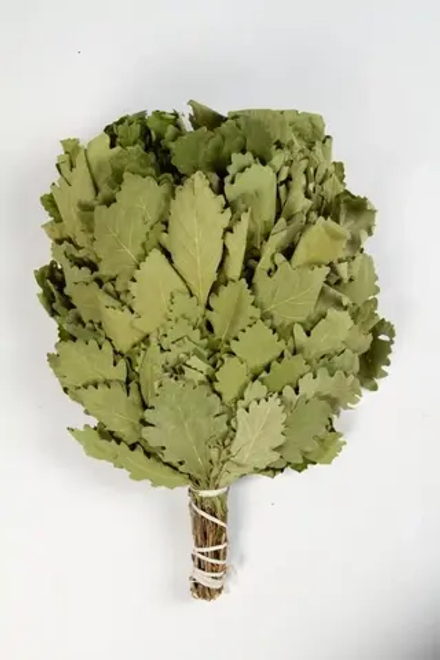 Веник дубовый «Кавказский Профессиональный»