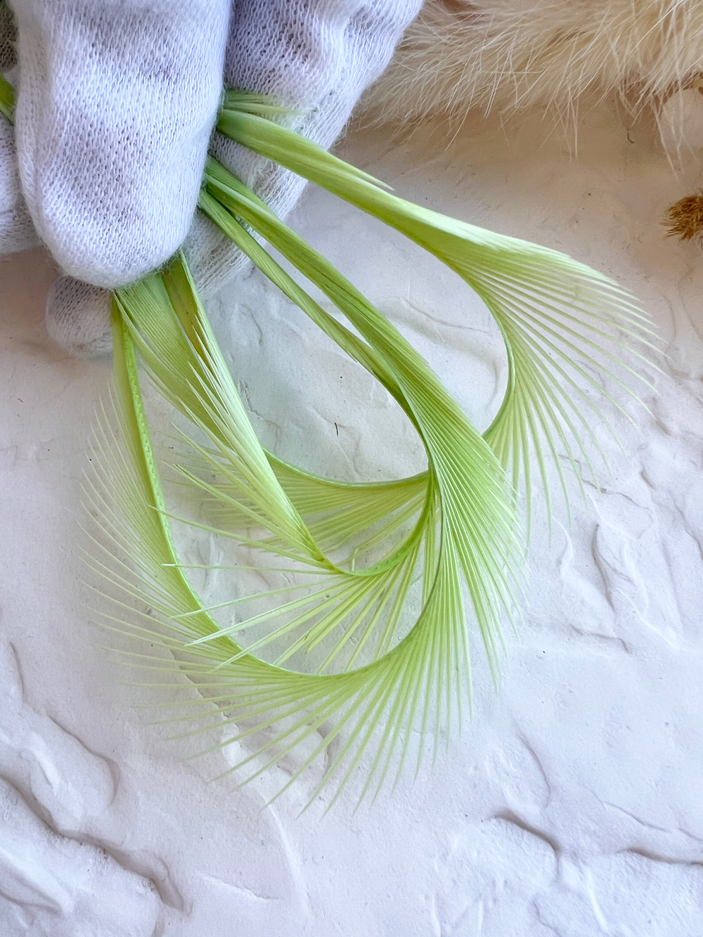 Гусиное перо, Светло-салатовый (5 шт)