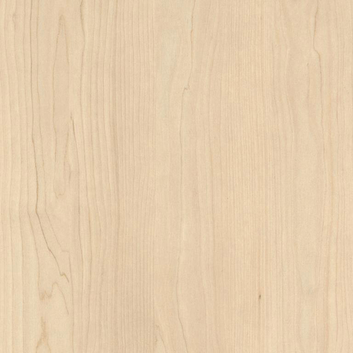 Берёза песочная H1732 ST9