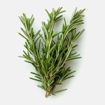 Розмарин М Свежесть 30г